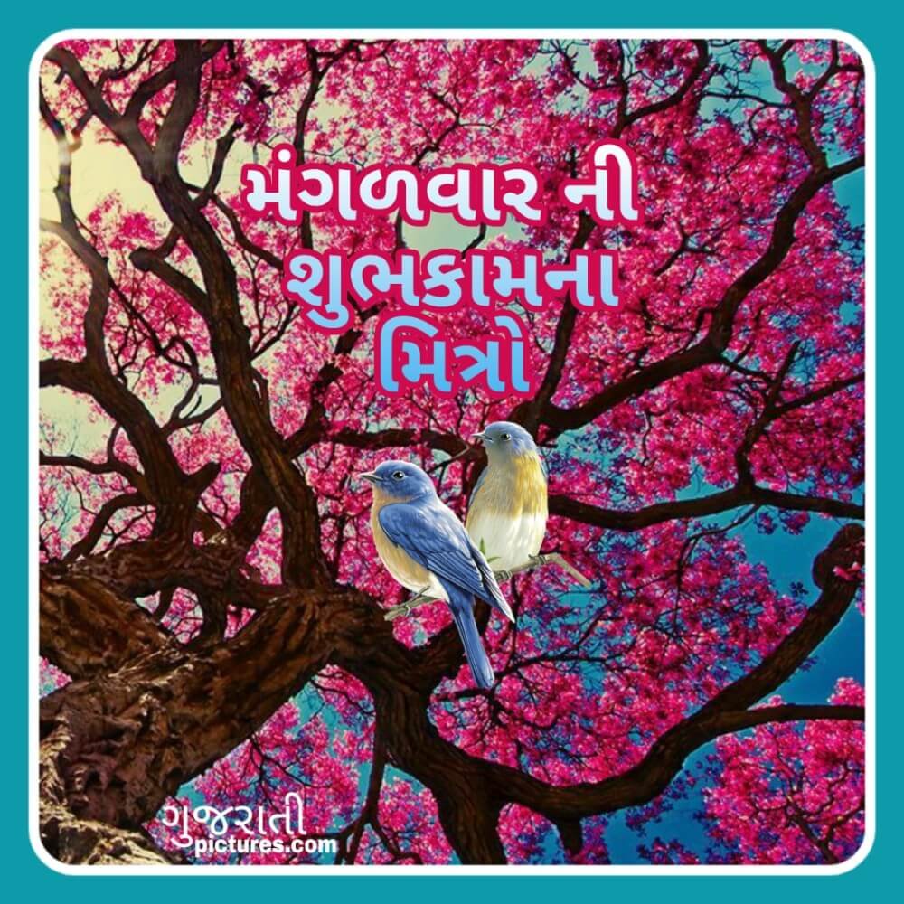 Mangalvaar Ni Shubhkamna Pic