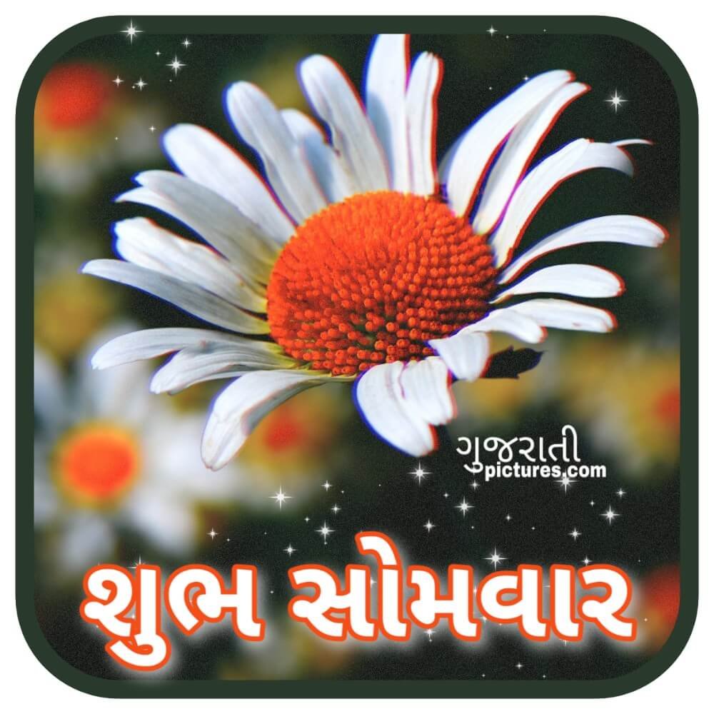 Shubh Somvaar Pic