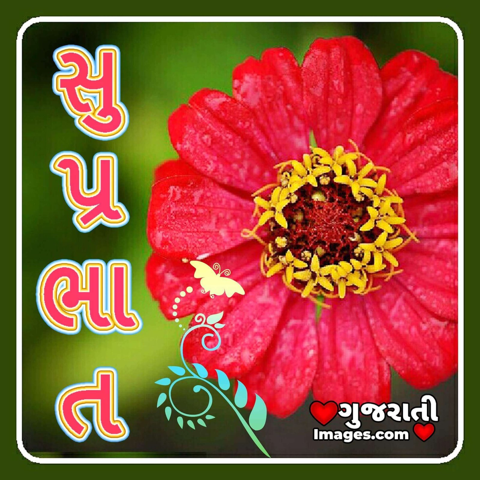 Shubh Din Flower Photo