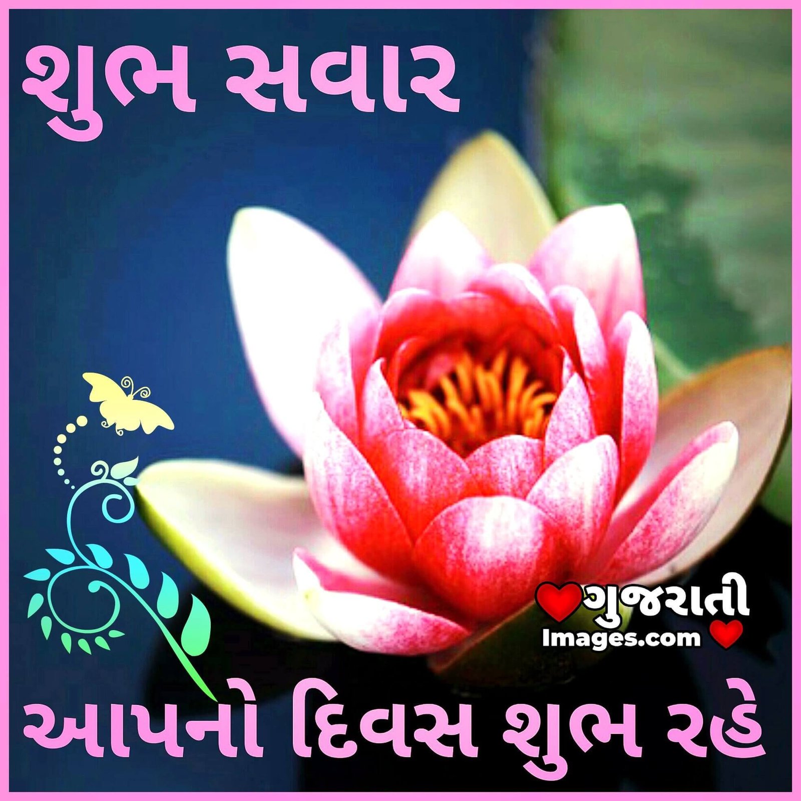 Shubh Din Lotus Picture